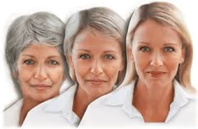 Biological Rejuvenation of Higher Animals and Humans